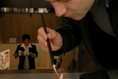 DTM_2009_Inkluzija_05
