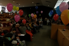 DTM_2009_Inkluzija_07