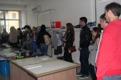 DTM_2015_Novi Pazar_14 Denistar